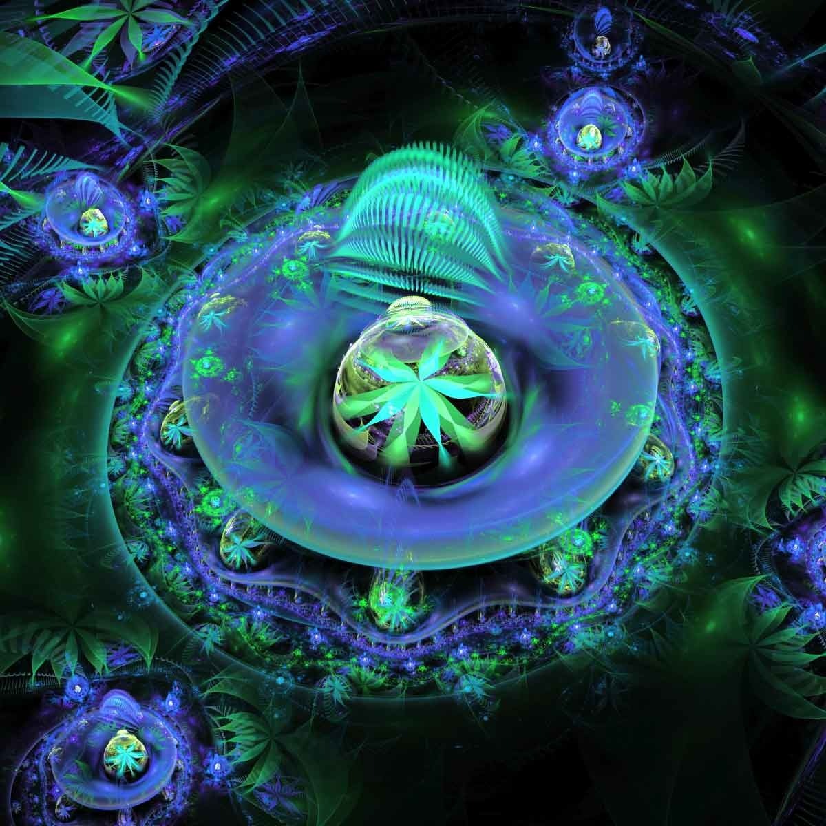 Spidergod - Ambient Midi Pack 7 Sample Packs Software GUI Artwork